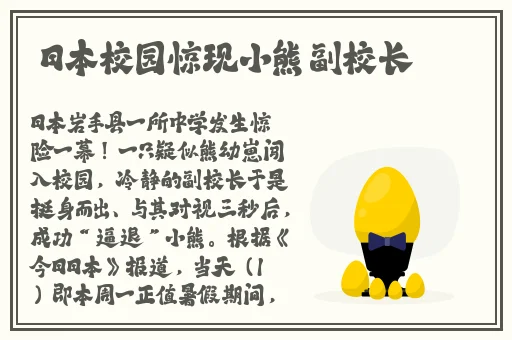 日韩精品午夜无码电影网